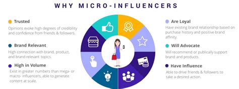 difference between micro macro and mega influencers|What’s the Difference Between Nano, Micro, Mid, Macro, and .